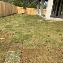 Fresh sod install in a fenced backyard