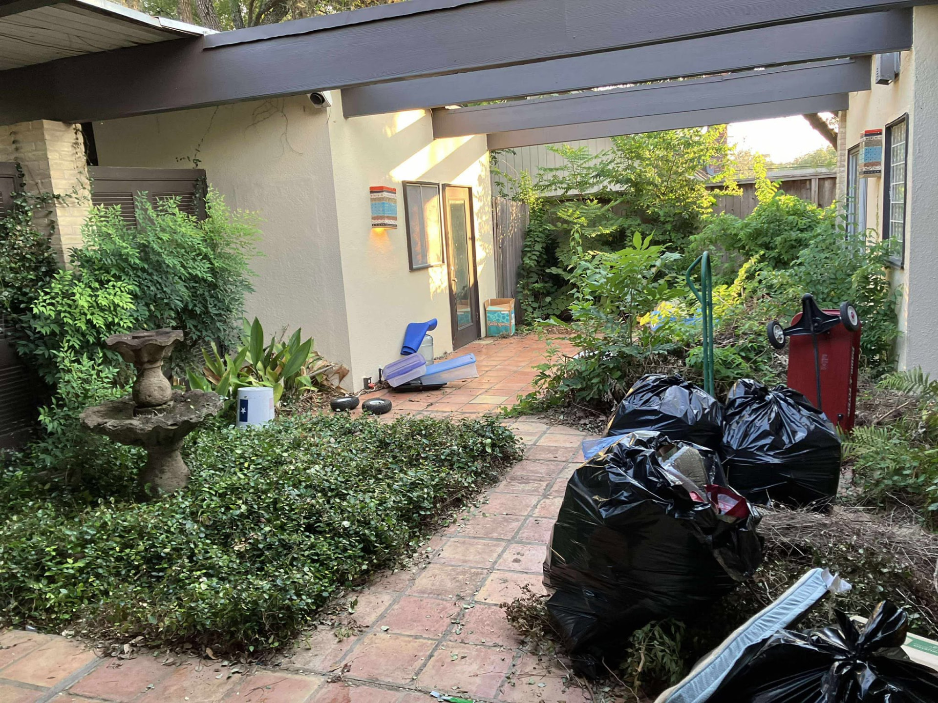 Before: Courtyard junk removal and brush cleanout